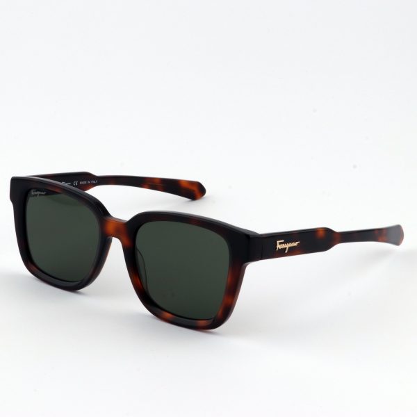 عینک آفتابی Salvator Ferragamo مدل SF1065S 004